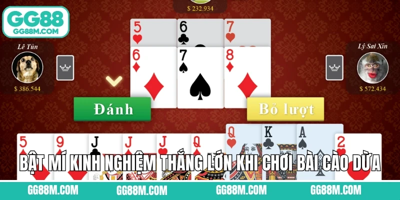 Bật mí kinh nghiệm thắng lớn khi chơi bài cào Dừa