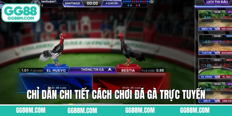 Chỉ dẫn chi tiết cách chơi đá gà trực tuyến tại sảnh cược Chỉ dẫn chi tiết cách chơi đá gà trực tuyến tại sảnh cược