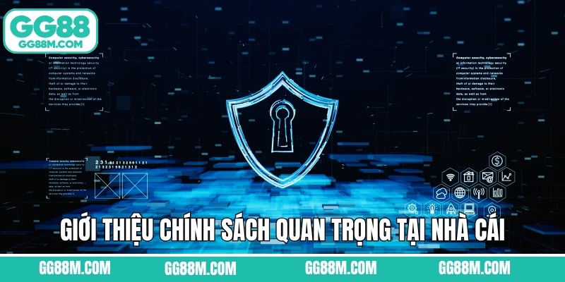 Giới thiệu chính sách quan trọng tại nhà cái