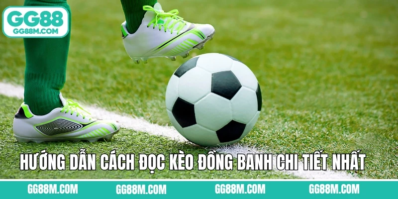Hướng dẫn cách đọc kèo đồng banh chi tiết nhất  