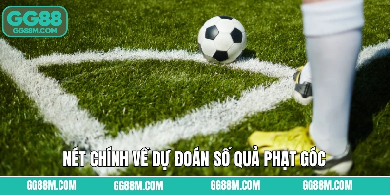 Nét chính về dự đoán số quả phạt góc