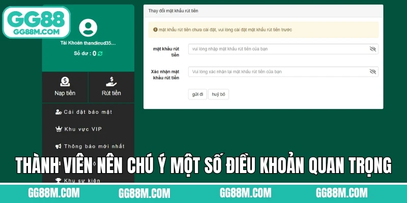 Thành viên nên chú ý một số điều khoản quan trọng khi nạp Thành viên nên chú ý một số điều khoản quan trọng khi nạp