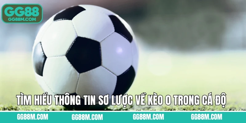 Tìm hiểu thông tin sơ lược về kèo 0 trong cá độ bóng đá