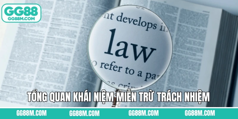 Tổng quan khái niệm miễn trừ trách nhiệm