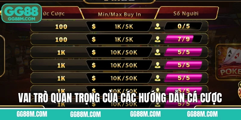Vai trò quan trọng của các hướng dẫn cá cược