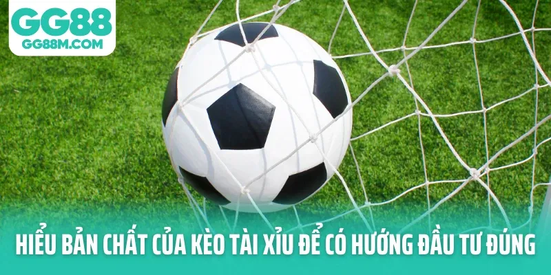 Hiểu bản chất của kèo tài xỉu để có hướng đầu tư đúng Hiểu bản chất của kèo tài xỉu để có hướng đầu tư đúng